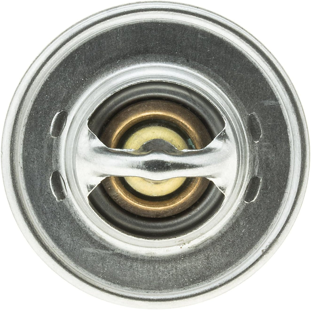 234-174 Thermostat