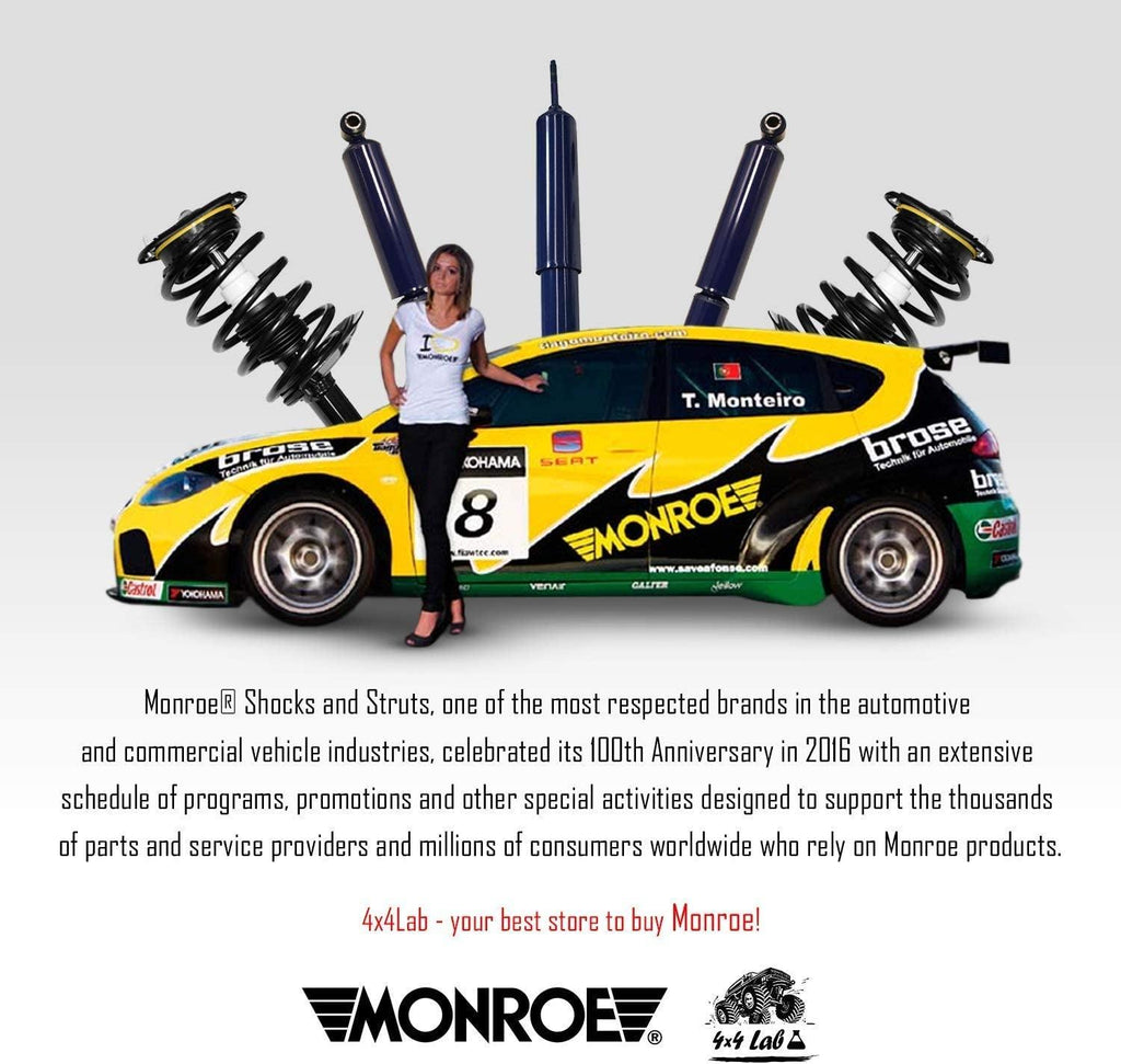 Quick Mount Kit of 2 Shocks Fits Dodge Grand Caravan 2008-2015 Oespectrum Rear Fits Replacement, Performance, Leveling, Touring & Offroad