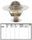 309-180 Thermostat