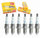 6 Pc NGK Standard Spark Plugs Compatible with Nissan Maxima 3.0L V6 1992-2001
