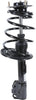 182940 Suspension Strut and Coil Spring Assembly