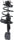 182940 Suspension Strut and Coil Spring Assembly