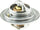244-198 Thermostat