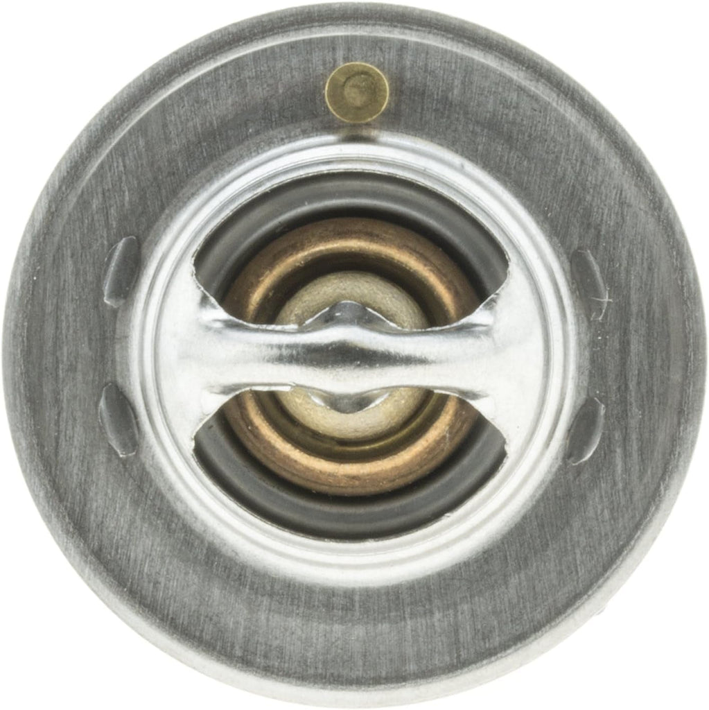 319-170 Thermostat