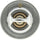 319-170 Thermostat