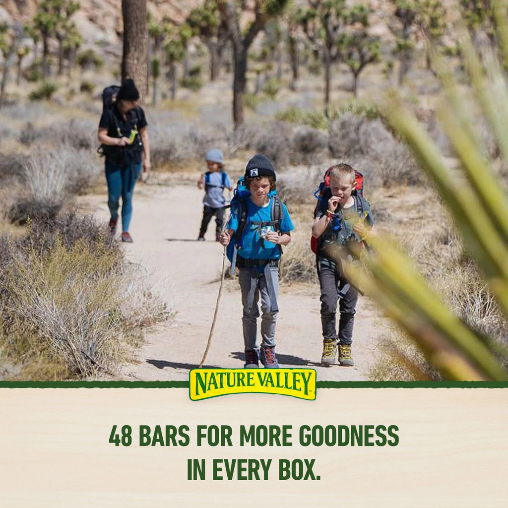 Nature Valley Chewy Trail Mix Fruit & Nut Granola Bars (48 ct.) Great Price